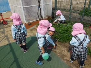 DSCN0575
