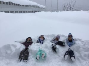 新雪ダイブ1